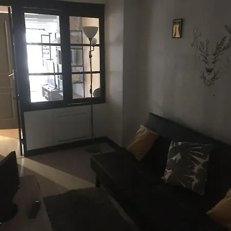 Tres Jolie Appartement Aiguilhe Exterior foto